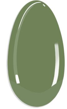 FG 909