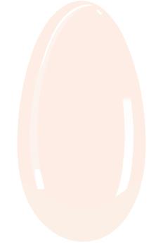 FG 988