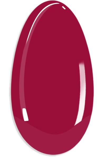 FG GN 358