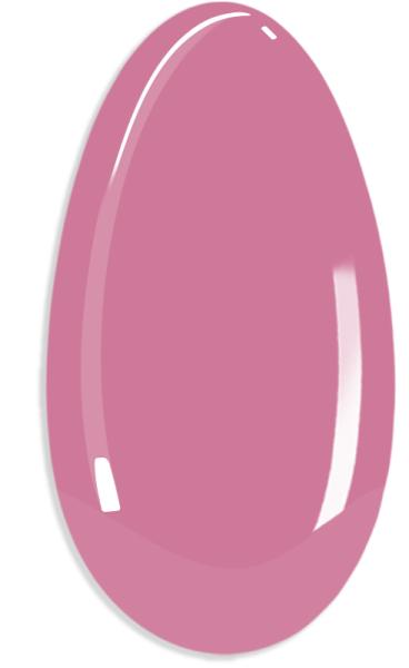 NuSO FG GN 754